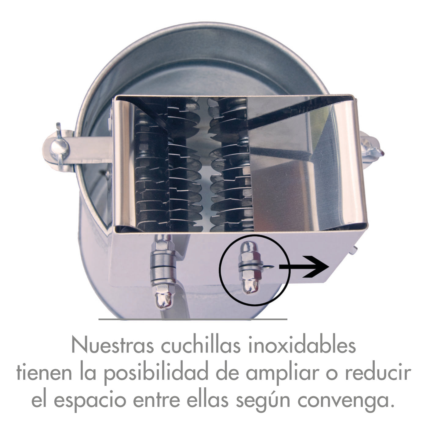 Maquina Rajar Aceitunas Premium